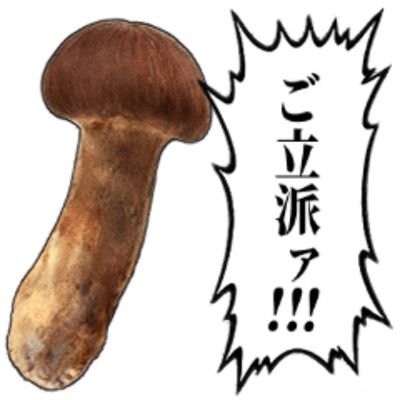 ferry_tabi's profile picture. 親父の姉(おば)に親代わりとして育ててもらいました。2002年に年の離れた従姉妹の姉ちゃんと親密な関係持ってしまいました🫣他人の奥さん寝取り経験あります。階は違いますが同じマンションに住んでます。