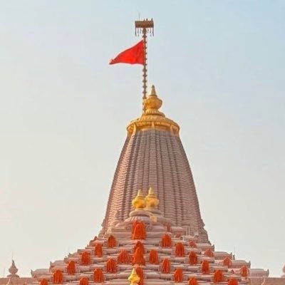 MansiAcharya20's profile picture. 