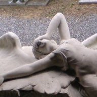 woodmatryoshka's profile picture. eminence grise