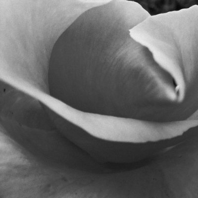 V_35_bw_'s profile picture. Photos (b&w📷 mostly)!
░ ▒ ▓
ArtThinkLearn; 
Reconnecting with my 🖤🤍 of art. Life-drawing enthusiast!
say hi!
(©all images my photo, bar RTs)