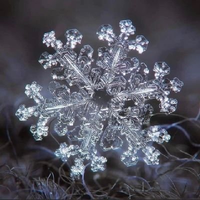 LauraBonaterra's profile picture. 