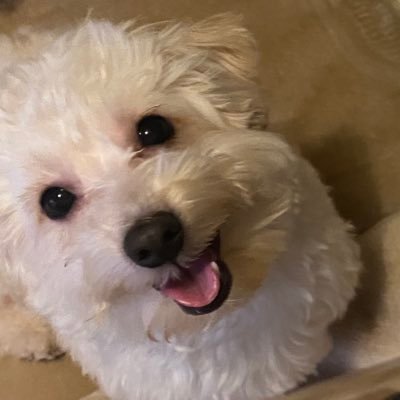 mmrkp422's profile picture. 