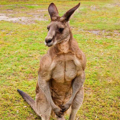 W1235813213455's profile picture. Ad astra per aspera