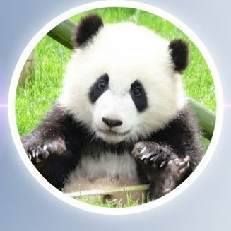 fofurasanimal's profile picture. Eles estão em todo lugar e são verdadeiras fofuras.  🇧🇷 NOS SIGA - #Animais  - Acione o Sininho🔔