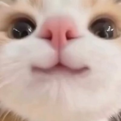 rabimelody4's profile picture. らびたです。IGSvol.2🥇(牽制時間5秒で優勝した男) YouTubeのチャンネル登録もよろしくお願いします→https://t.co/QQX4wxGl5m ミラティブの方でもたまに配信してます→ID 140169638