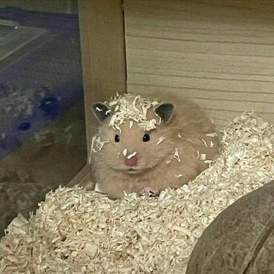 mando1237261's profile picture. 