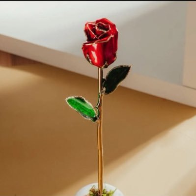 DaniLGC's profile picture. I am an artist, a model, and entrepreneur. I have a passion for the arts and entertainment and each day i take a step closer to my dreams!