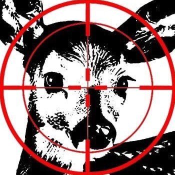 babydaisyxi's profile picture. weird stoner girl🫀