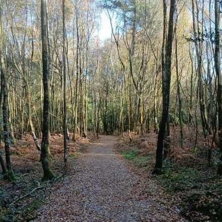 iHafizYusuf10's profile picture. Expertise : Software Engineer, AI  Engineer , ML,DL , Data science and predictive Modeling, 
|| Tech skills : python , javascript ,  node.js