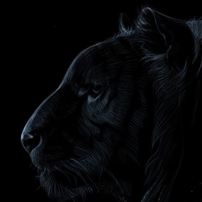 azamat_kaz90027's profile picture. AI & Web3
Following new projects, explaining simply & clearly