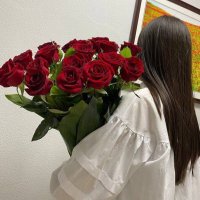 جميلة القرني (@stephaniedue5) 's Twitter Profile