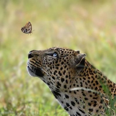 SadashivSa96423's profile picture. Neither Shark, Nor Whale, Nor Vampire Squid……….. Non-Denominational Communist…☭