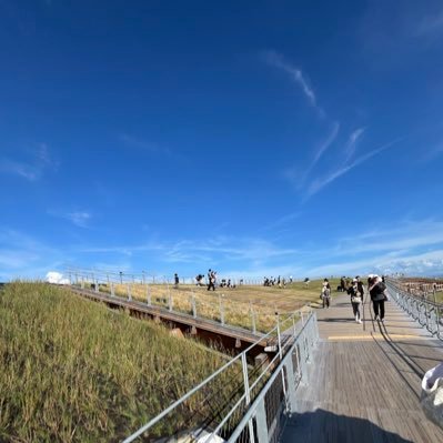 gityouuu's profile picture. 絵師様を追うアカウント