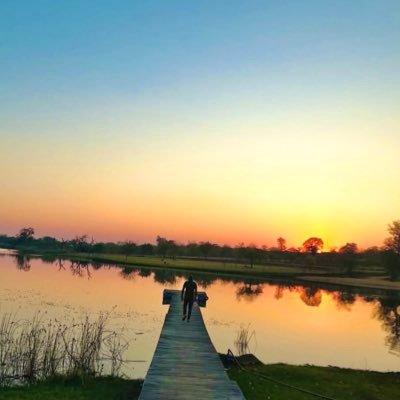 fula1411's profile picture. 