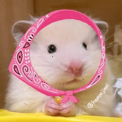 hammjinni's profile picture. 무대위에서 몬베베들 웃는거 볼때 제일 행복해요                          그렇게 예쁘게 느껴져요 웃음들이