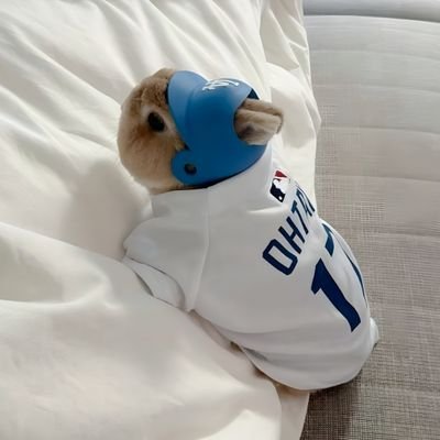 oshintheclouds's profile picture. Sh*t gone always play out the way it’s supposed to