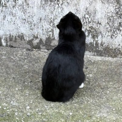 hx_u0n9's profile picture. 이쁜 여자가 좋아요