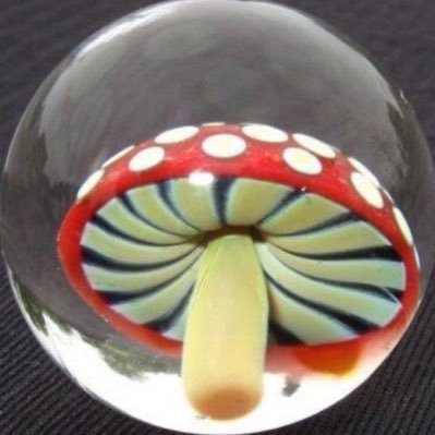 sayapplepham's profile picture. full-time •ɞunnies #workinapplefarm⌇fan account