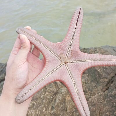 halcywon_jung's profile picture. I09🐈