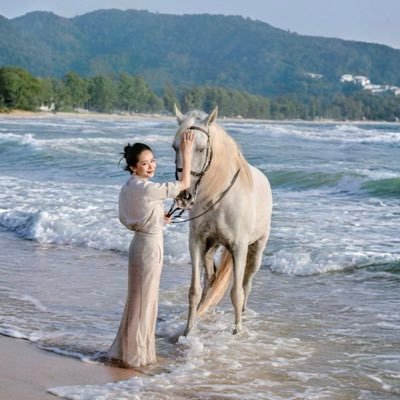 mdcgbsc's profile picture. 2026#马到成功