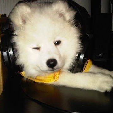 jeremywxchi's profile picture. 