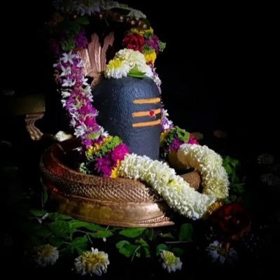 ArulKannan96271's profile picture. 