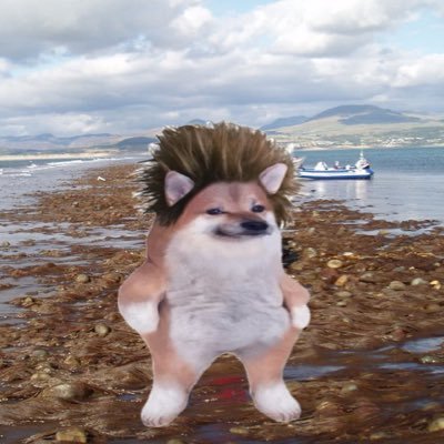 GaN_nafo_fella's profile picture. Here for Ukraine🇬🇧🇺🇦 Amateur plant grower/breeder, Hens, Nature💙💛