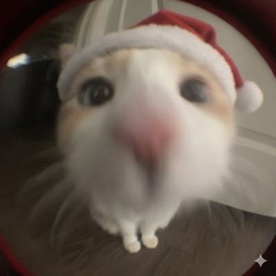 moneynena's profile picture. 미국주식하는 개발(사업)자 @연쇄창업마가 되겠어.