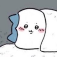 chonmagemageo11's profile picture. 