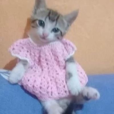 neubill666's profile picture. .