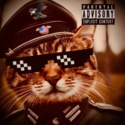 stillacat69's profile picture. lil bit of this, lol bit of that.