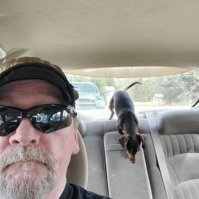 vyjlp26946914's profile picture. 