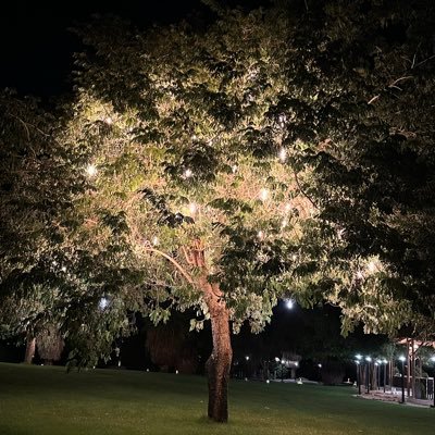 ahmadnasser909's profile picture. 