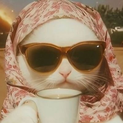 Kathlee10714763's profile picture. Blue Dog Democrat. 🌊 
We're living in very dark times, I hope we make it out. (pls no lists or dms,ty) 👋