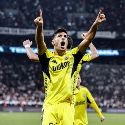 mifileforfener's profile picture. Fenerbahçe bitmeyen sevdam💛💙