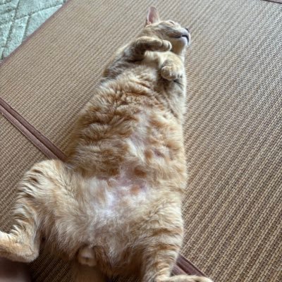 mainichi_boat's profile picture. お寿司屋さんです