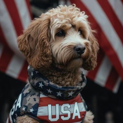 PamSmit10175428's profile picture. Freedom loving patriot. God Guns & Liberty. US Veteran. Rejoining Twitter. I was one of the casualties of liberal propaganda. MAGA 💯
