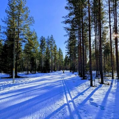 SophieRussellS2's profile picture. occupational therapist