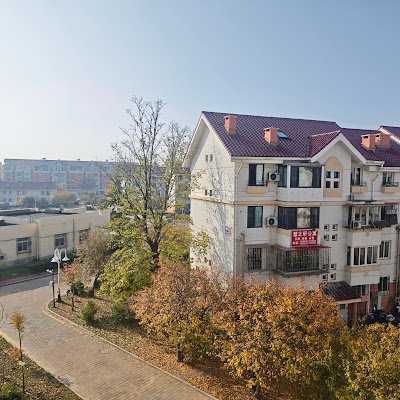 MichaelYin62302's profile picture. 