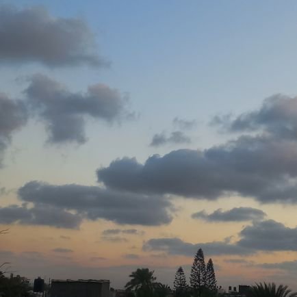 Israanasserdiab's profile picture. Dentistry✨️AUG🇵🇸