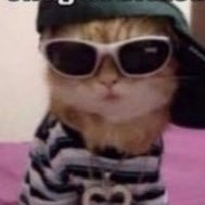 SreegovindVari1's profile picture. 