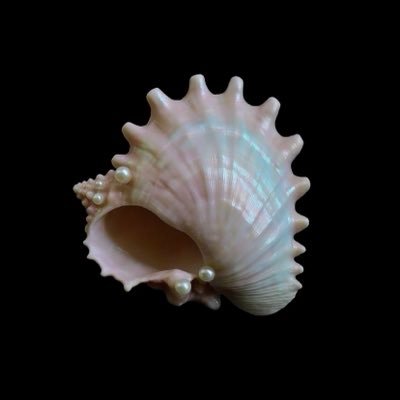 pmng_464's profile picture. 