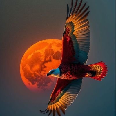 RanjhiRaza's profile picture. luck 🤞