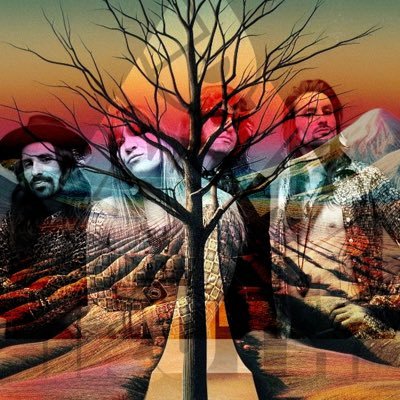 THE DAMN TRUTH Profile