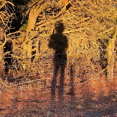 jandalsftw's profile picture. DYOR - Resist the propaganda - Bitcoin⚡️
🎯 A bright future and a tiny coastal holiday house with a library.