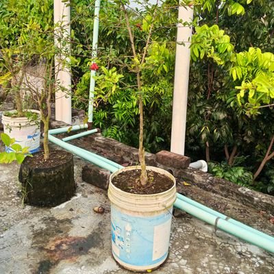 RahulHassa65778's profile picture. 