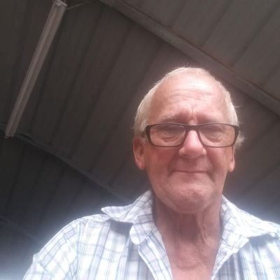 Travis290040445's profile picture. 