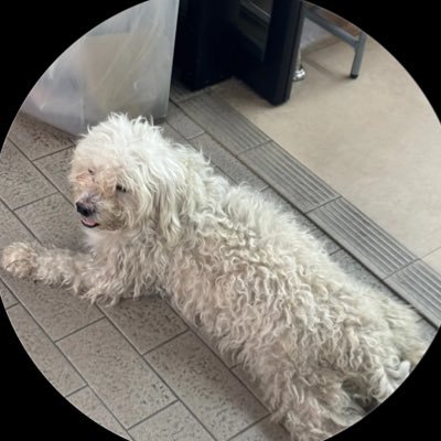 pattchoulizZ's profile picture. 