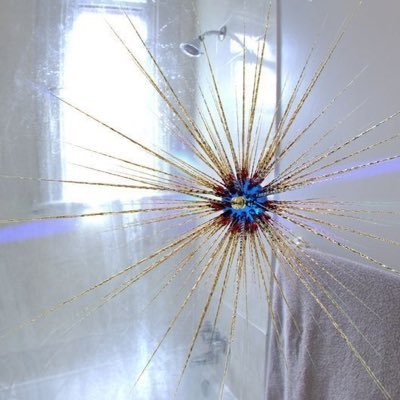 imsufjanstevens's profile picture. 