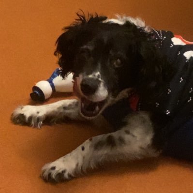 Inkthirsty's profile picture. 18, programmer, music addict @NendoArts